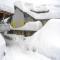 Apartments Bergblick - Sonnenalpe Nassfeld