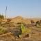 Foto: Succah in the Desert 104/168