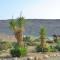 Foto: Succah in the Desert 107/168