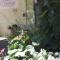 Hotel Haus Chorin - 肖林