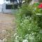 Villa Pradelle et swimming pool photo 14
