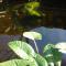 Centurion Guest House and Lodge