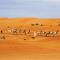 Foto: Arabian Oryx Camp 60/71