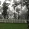 31st December Farms And Estates Munnar