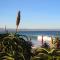 Beach House