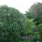 Cobden Garden - 纳皮尔