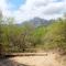 Moholoholo Mountain View