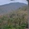 Master Homestay