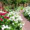 Montagu Country Hotel