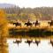 Sunriver Resort - صنريفير