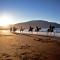 Icelandhorsetours - Helluland