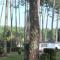 Camping Officiel Siblu Les Dunes de Contis photo 20