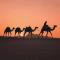 Foto: Wadi Rum Sky Tours & Camp 63/136