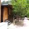 Olympos Varuna Bungalows - Olympos