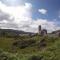 Dunlewey Lodge - Dunlewey, Gweedore