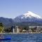 Departamento en Pucon