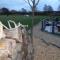 The Stables - Deer Park Farm