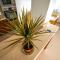 Apartment Andjela