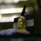 Hotel Parvati Palace Sehore