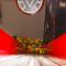 7th childlike union Homestay