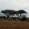 WE4Kenya Guesthouses