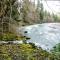 Molalla River Cottage