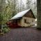 Papa Bear Cabin