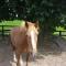 Foto: The Stable Lodge Cannaway House 13/17