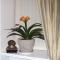 Alba Guest House