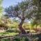 Casa Solcor Boutique Bed & Breakfast