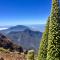 Enjoy Tazacorte City - Tazacorte