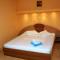 Pension Andronic