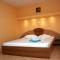 Pension Andronic