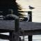 Rivertides Self Catering Guest House