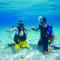 Occidental Cozumel - All Inclusive
