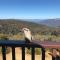 Valley of the Waters B&B - Wentworth Falls