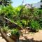 Bed&Breakfast LOasi
