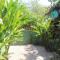 Foto: Bamboo Groove Hostel 54/77