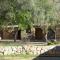 Hostel Waira