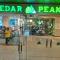 Cedar Peak Condo - Close to Session Road City Center - Baguio