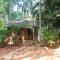Dudhsagar Plantation