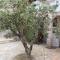 Apartment Zubovici 6356a