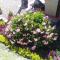 Hotel Campestre Franchesca