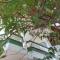 Herin Green House