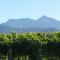 Korohi Vineyard BnB