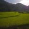 Foto: Mai Chau Family Homestay 103/114