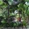 African Dreamz Guest House