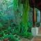 Cissus Hotel Boutique