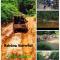 Green Peace Sungai Lembing