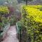 Green House
